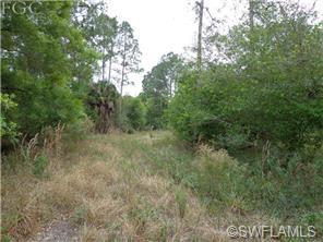 1615 Evans Rd, Labelle, FL 33935 photo 2