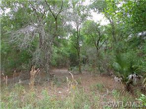 1615 Evans Rd, Labelle, FL 33935 photo 1
