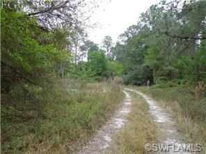 1615 Evans Rd, Labelle, FL 33935 photo 3