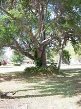4520 Springview Cir, Labelle, FL 33935 photo 12