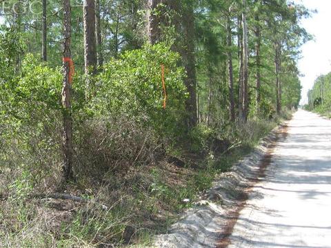 20561 Carter Rd, Estero, FL 33928 photo 4