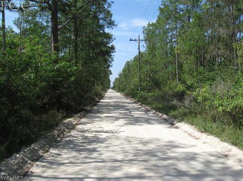 20561 Carter Rd, Estero, FL 33928 photo 5