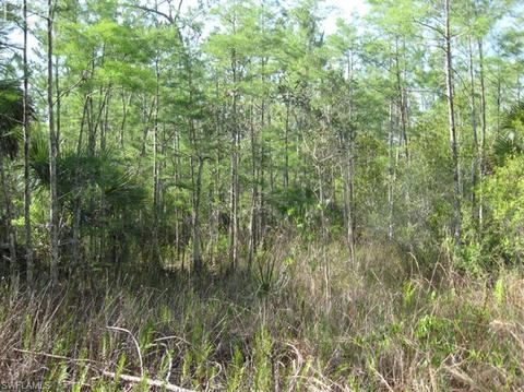 20561 Carter Rd, Estero, FL 33928 photo 7