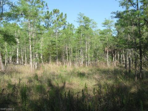 20561 Carter Rd, Estero, FL 33928 photo 13