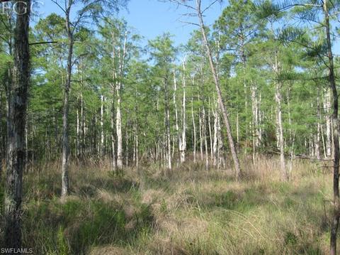 20561 Carter Rd, Estero, FL 33928 photo 12