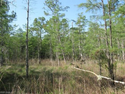 20561 Carter Rd, Estero, FL 33928 photo 10