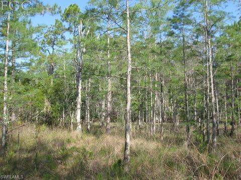 20561 Carter Rd, Estero, FL 33928 photo 9
