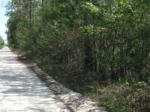 20561 Carter Rd, Estero, FL 33928 photo 3