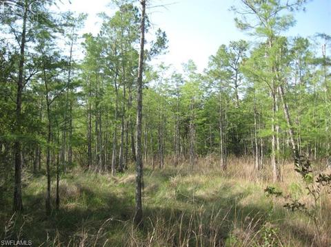 20561 Carter Rd, Estero, FL 33928 photo 11