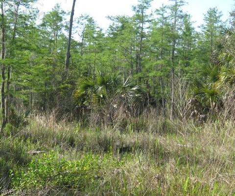 20561 Carter Rd, Estero, FL 33928 photo 15