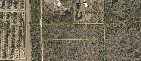 20561 Carter Rd, Estero, FL 33928 photo 1