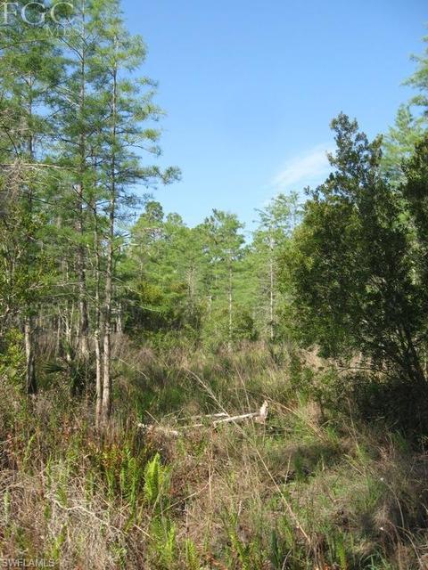 20561 Carter Rd, Estero, FL 33928 photo 14