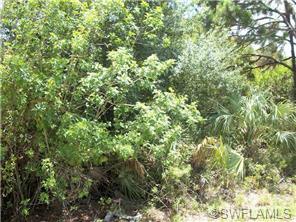 612 Pine Cone Ave, Clewiston, FL 33440 photo 2