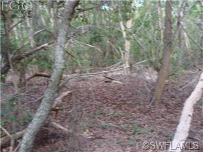 11365 Stringfellow Rd, Bokeelia, FL 33922 photo 11