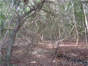 11365 Stringfellow Rd, Bokeelia, FL 33922 photo 10