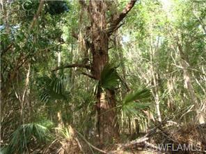 11365 Stringfellow Rd, Bokeelia, FL 33922 photo 5