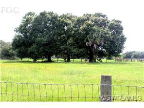 13400 SE 34th St, Okeechobee, FL 34974 photo 23