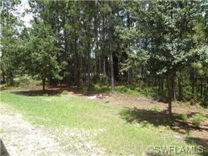 1133 Eclipse St E, Lehigh Acres, FL 33974 photo 2