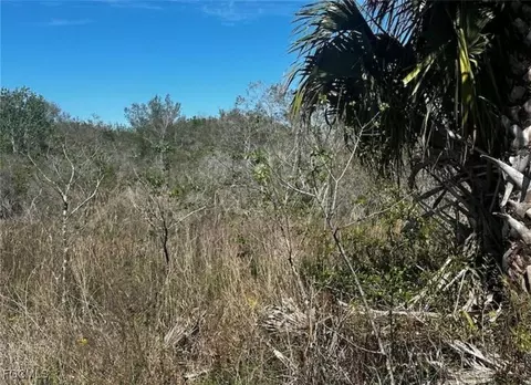 NW 308th St, Okeechobee, FL 34972 photo 4