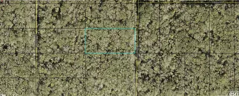 21-10 28-2775-00050-0177 Ruth Ave, Hastings, FL 32145