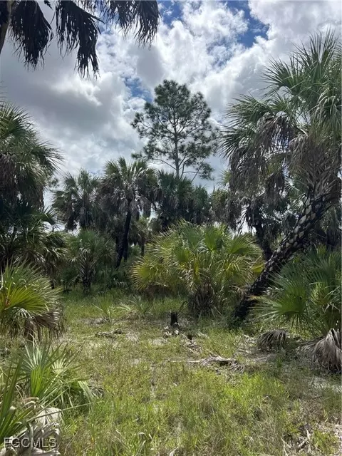 Undisclosed, Naples, FL 34117 photo 14