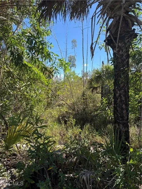 Le Buff Rd, Naples, FL 34114 photo 3