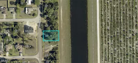 917 Naples Ave S, Lehigh Acres, FL 33974