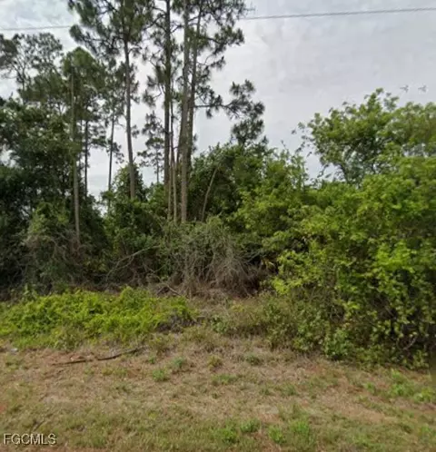 1148 Edelweiss St E, Lehigh Acres, FL 33974