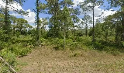 1306 Canton Ave, Lehigh Acres, FL 33972