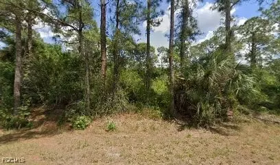1308 Canton Ave, Lehigh Acres, FL 33972