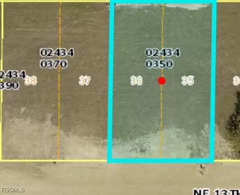317 NE 13th Ter, Cape Coral, FL 33909
