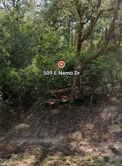 509 E Nemo Dr, Citrus Springs, FL 34434