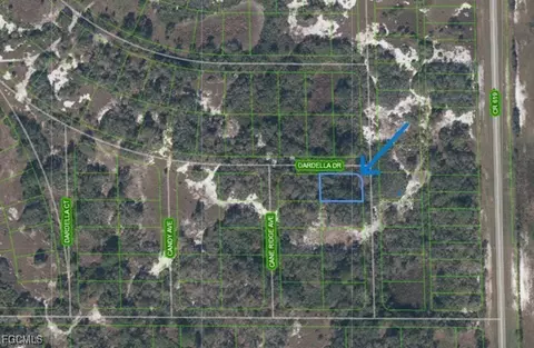 1181 Ebbtide Ave, Lake Placid, FL 33852