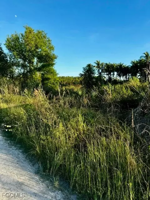 7465 7448 7421 Max Dr, Bokeelia, FL 33922 photo 4