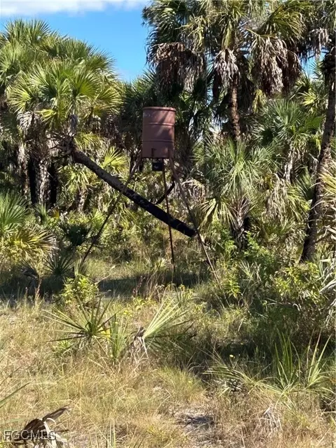 Undisclosed, Naples, FL 34117 photo 36