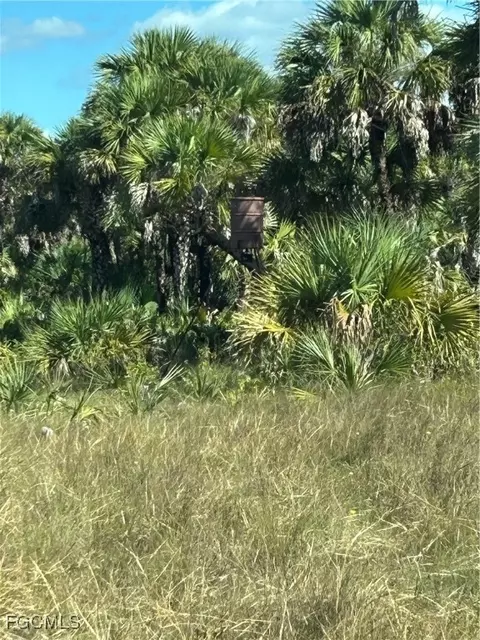 Undisclosed, Naples, FL 34117 photo 35