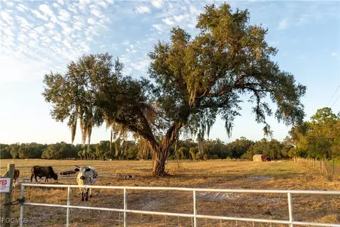 894 Cemetery Rd, Labelle, FL 33935