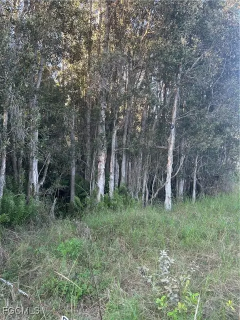 33608 Oil Well Rd, Punta Gorda, FL 33955
