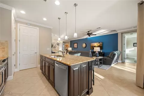 20256 Black Tree Ln, Estero, FL 33928 photo 25