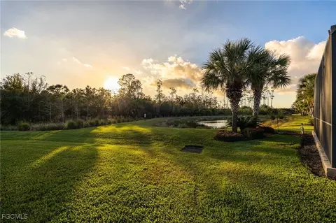 20256 Black Tree Ln, Estero, FL 33928 photo 29