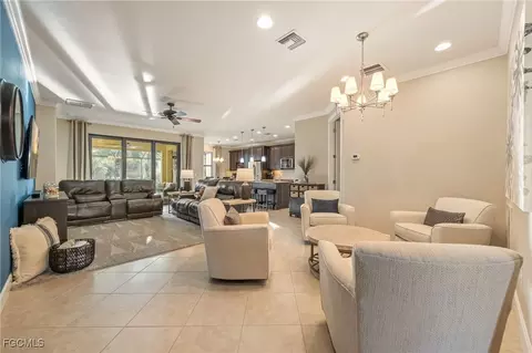 20256 Black Tree Ln, Estero, FL 33928 photo 9