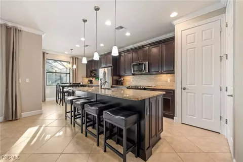 20256 Black Tree Ln, Estero, FL 33928 photo 22