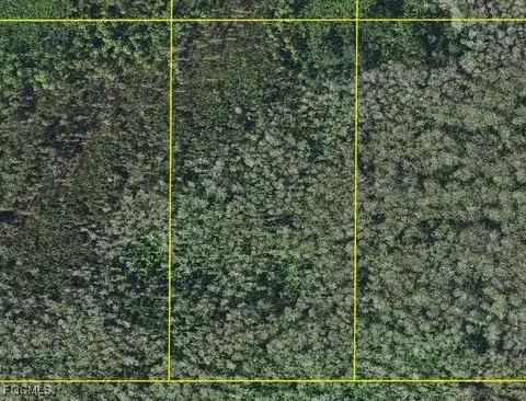 Sabal Palm Rd, Naples, FL 34114