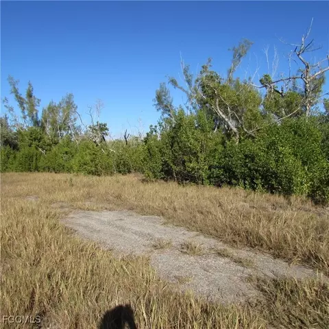 Ficus Tree, Bokeelia, FL 33922 photo 6