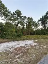 2002 Fitch Ave, Alva, FL 33920