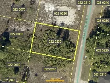 722 Goldwyn Ave S, Lehigh Acres, FL 33974