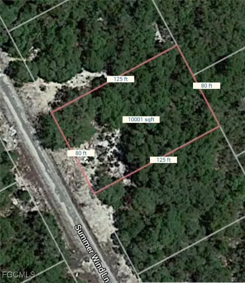 215 Summer Wind Ln, Lake Placid, FL 33852
