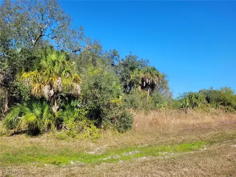 March Ln, Labelle, FL 33935 photo 4