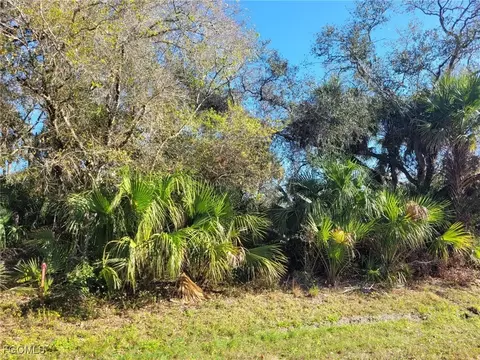 March Ln, Labelle, FL 33935 photo 2