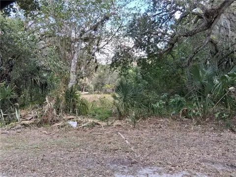 Suwanee Ave, Labelle, FL 33935 photo 14